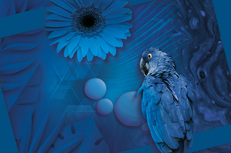 AOZU | PANTONE CLASSIC BLUE 19-4052