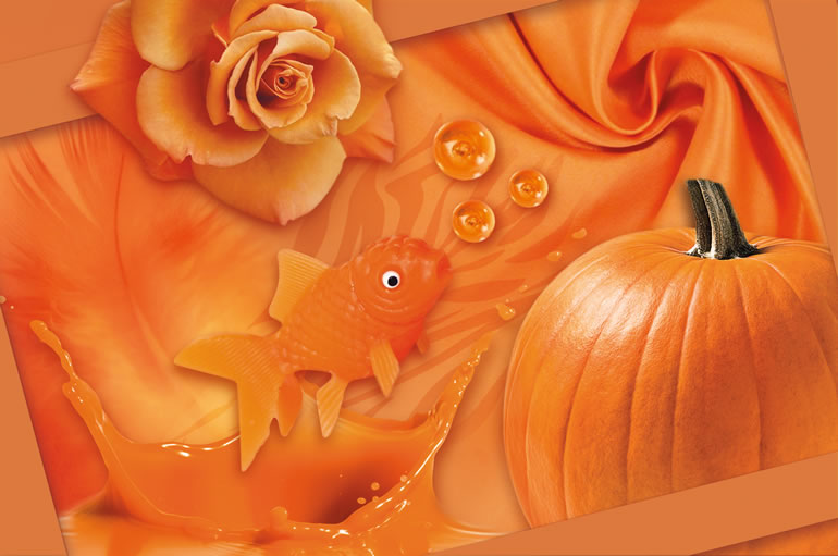 AOZU | PANTONE ORANGE AMBRÉ